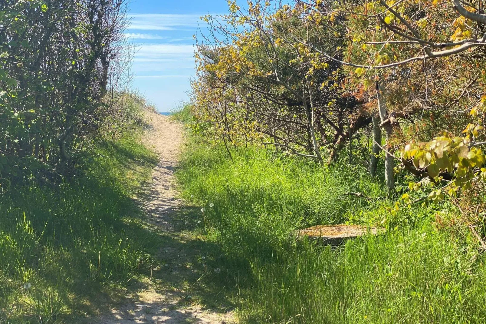 Maison de vacances pour 5 a Båstad-By Traum-Non tagué