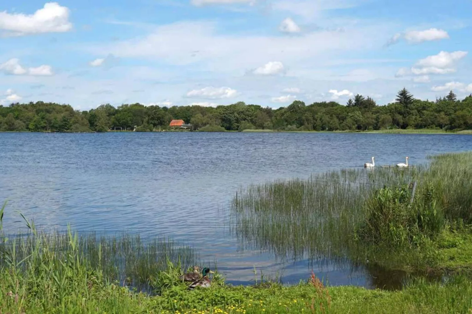 5 Personen Ferienhaus in Ansager-By Traum-Wasserblick