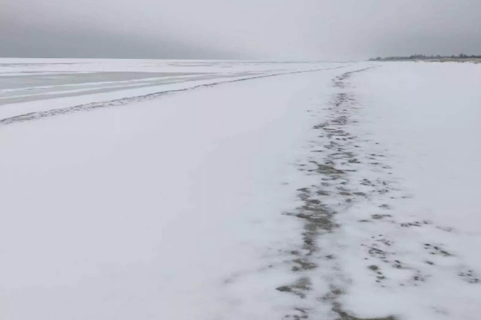 6 person holiday home in Hals-By Traum-Outdoor