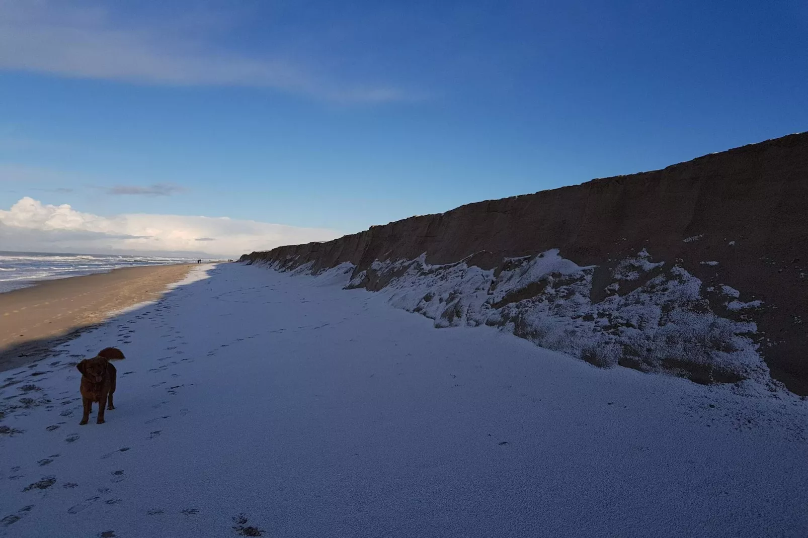 Seaside Retreat with Sauna - By Traum Ferienwohnungen - Untagged