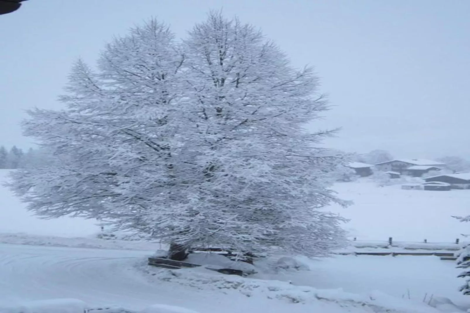 Chalet Stuhlfelden-Area within 20km in winter