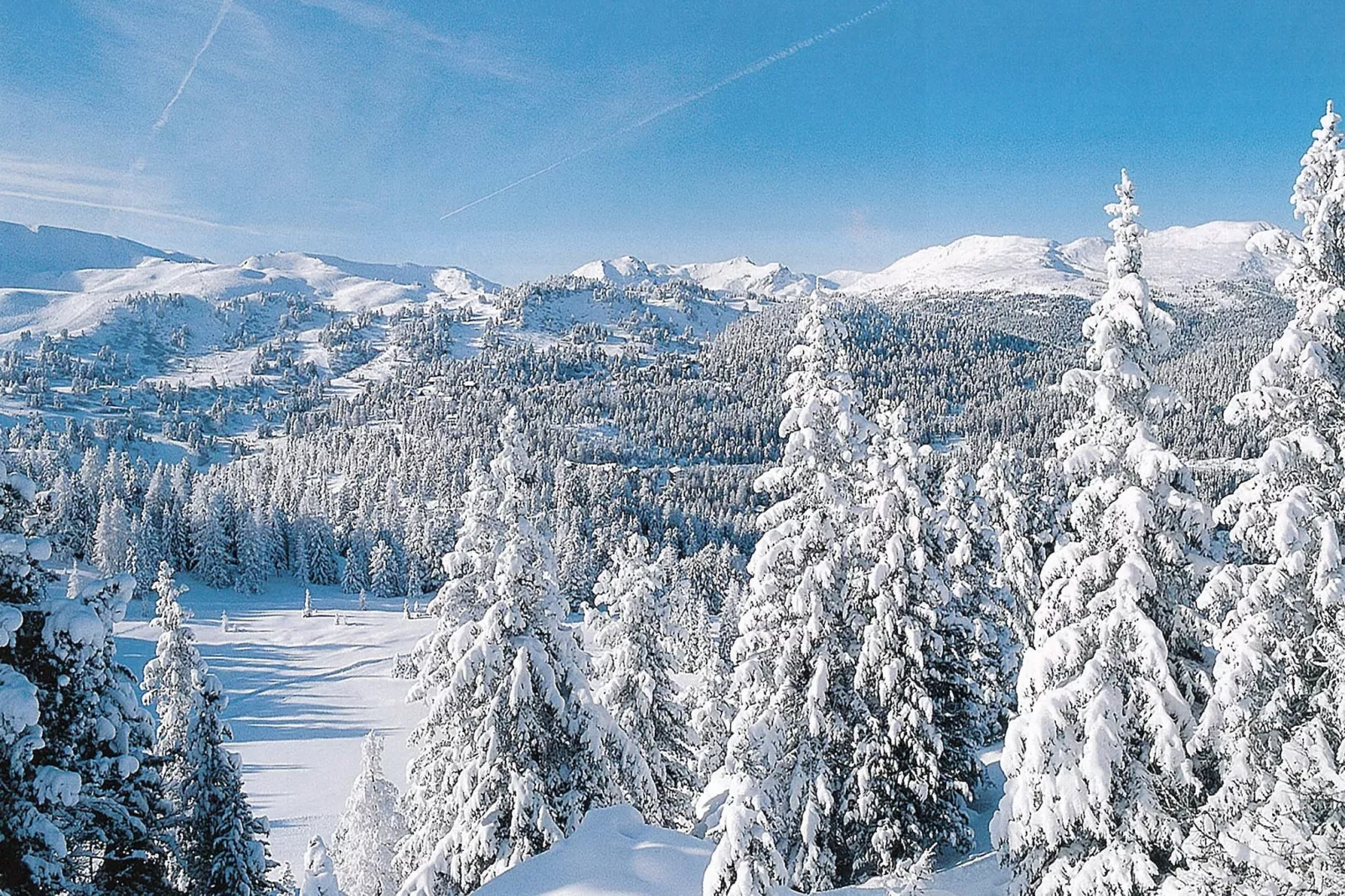 Haus Alpenröslein-Gebiet Winter 1 km