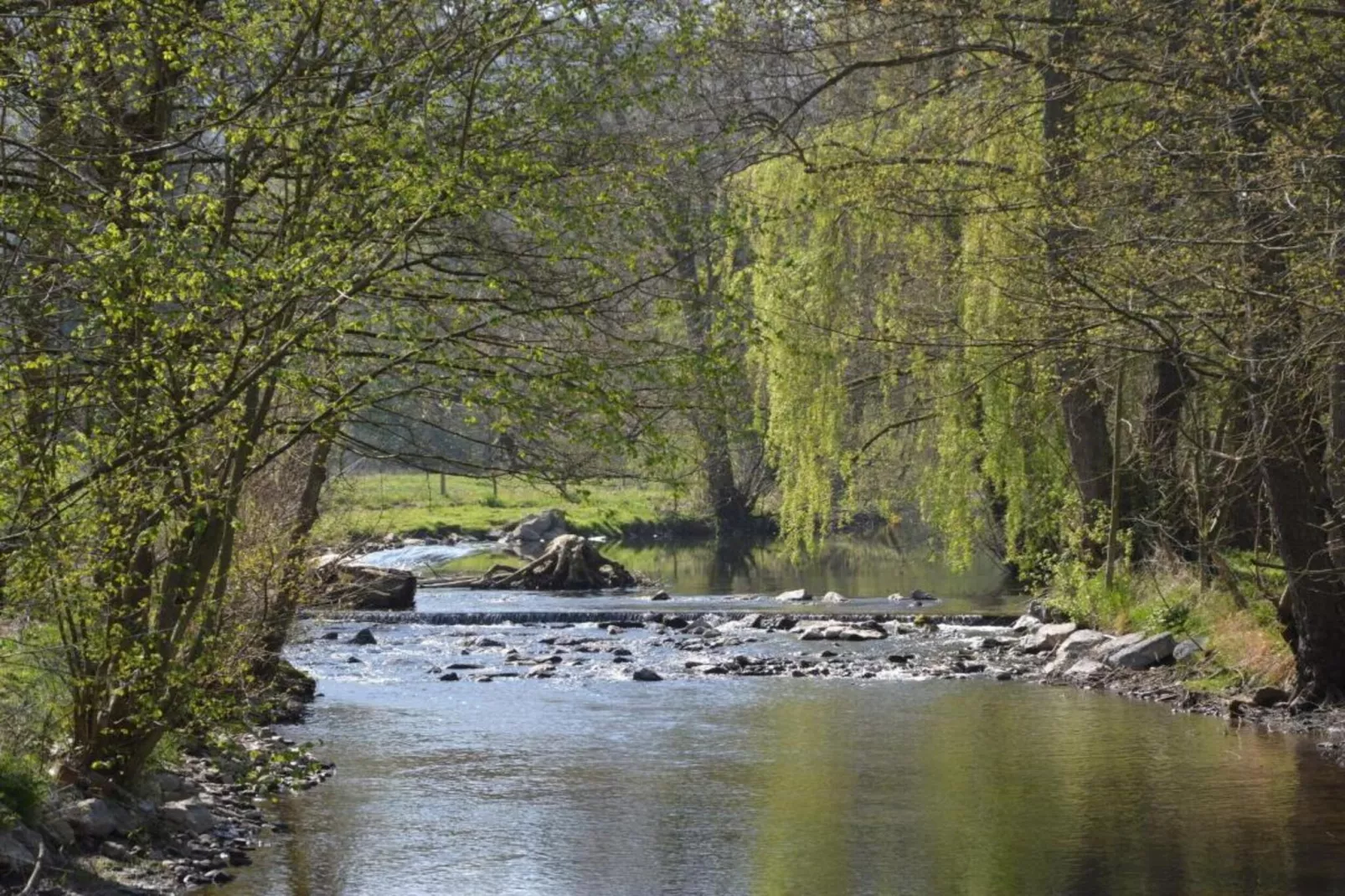 Le Grand Moulin de Denée-Gebiete Sommer 5 km