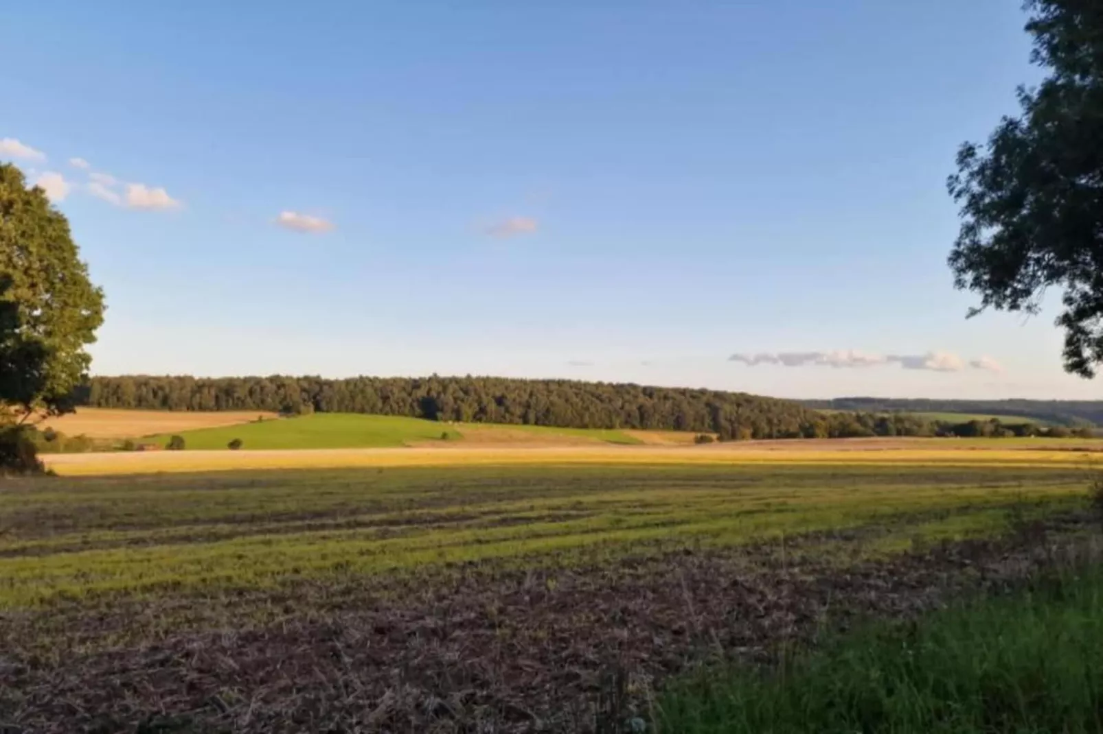 Macray La Colline aux Framboises-Areas within 20km in summer