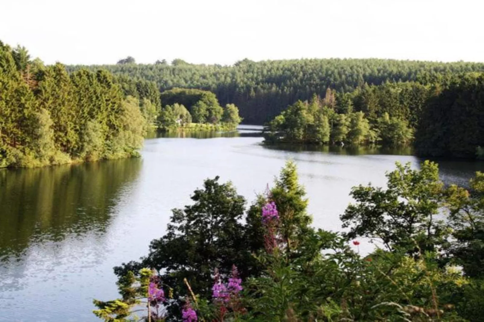 La Terrasse du Lac-Zones été à 20 km