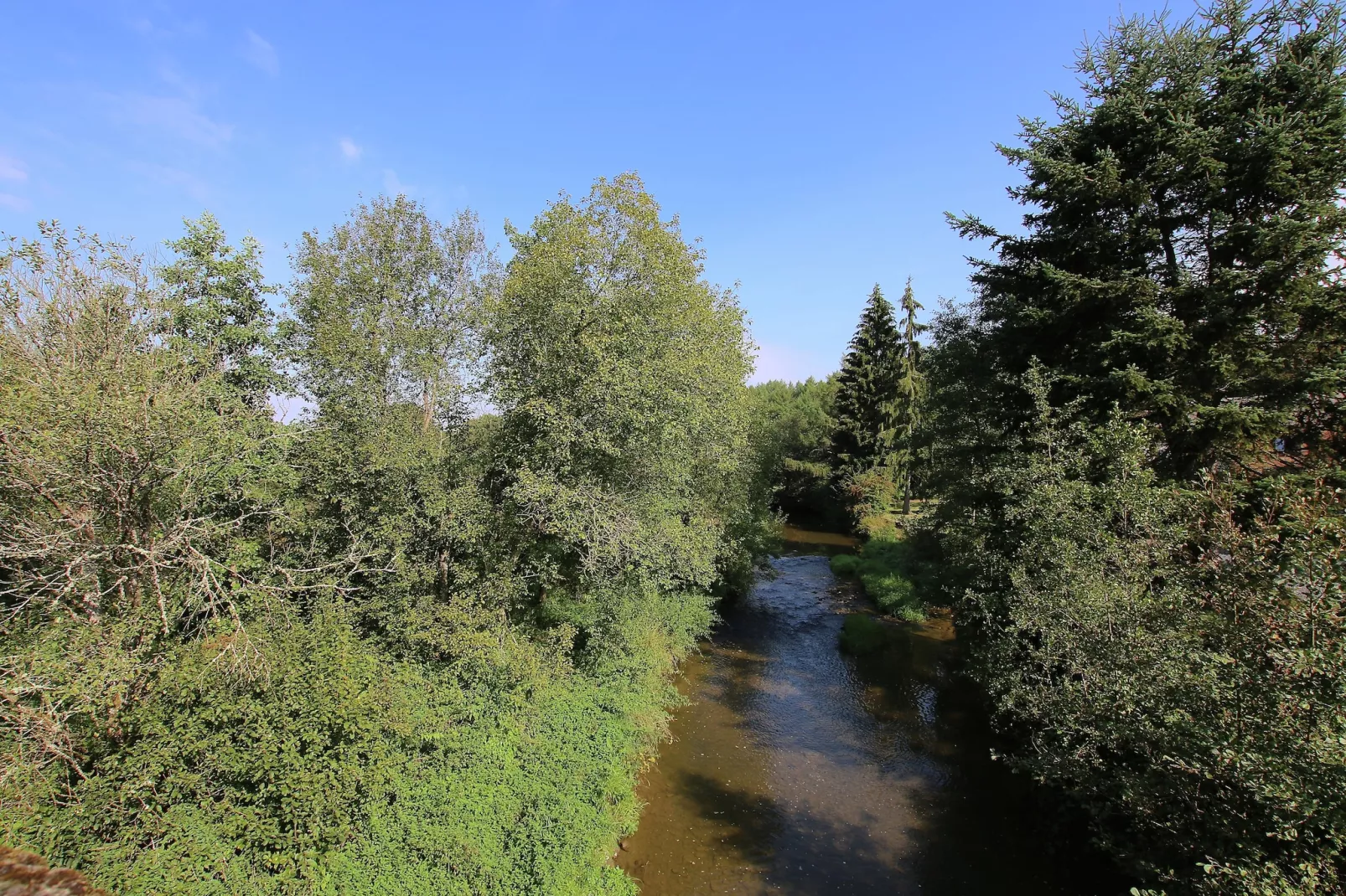 Oasis-Zones été à 5 km