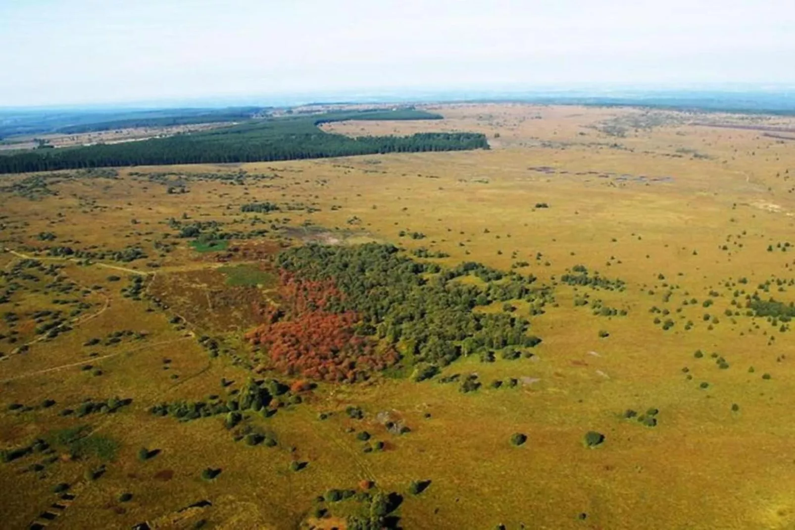La Statte-Areas within 20km in summer