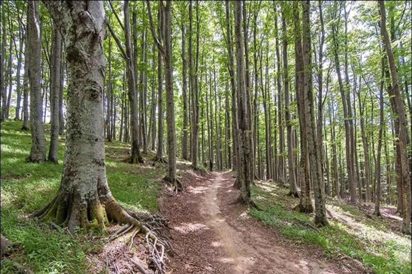 Le Paradis et Espace-Areas within 20km in summer