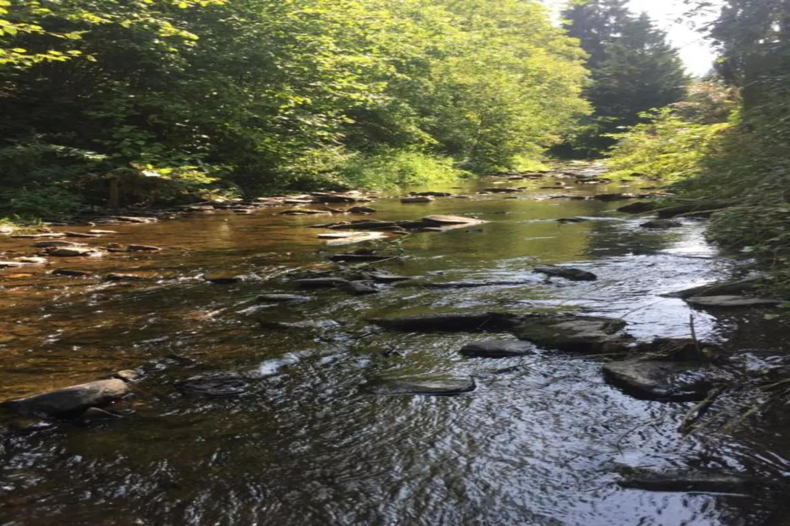 The Heart and Joy-Areas within 20km in summer