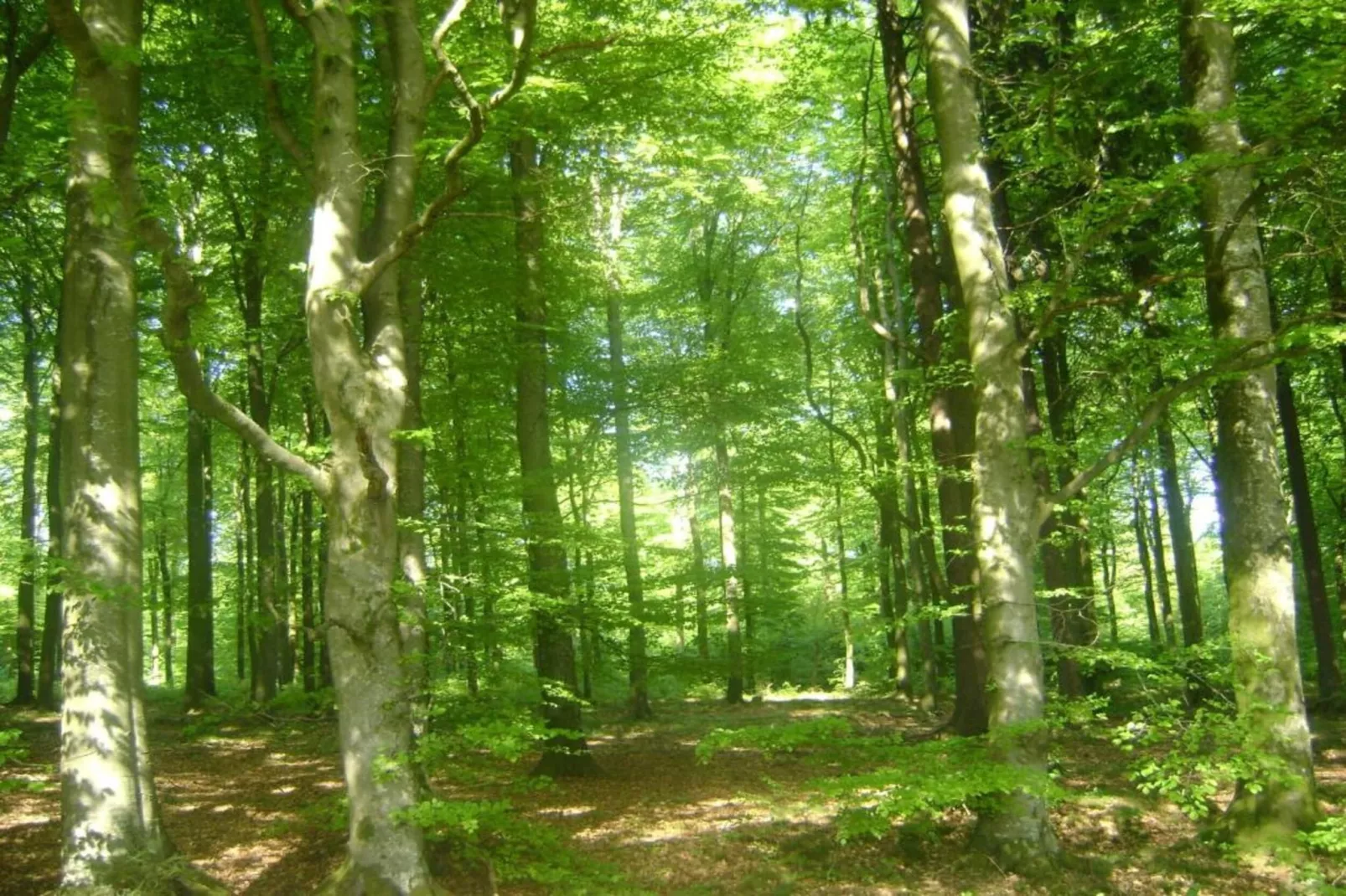 Perle d'Achouffe-Areas within 20km in summer