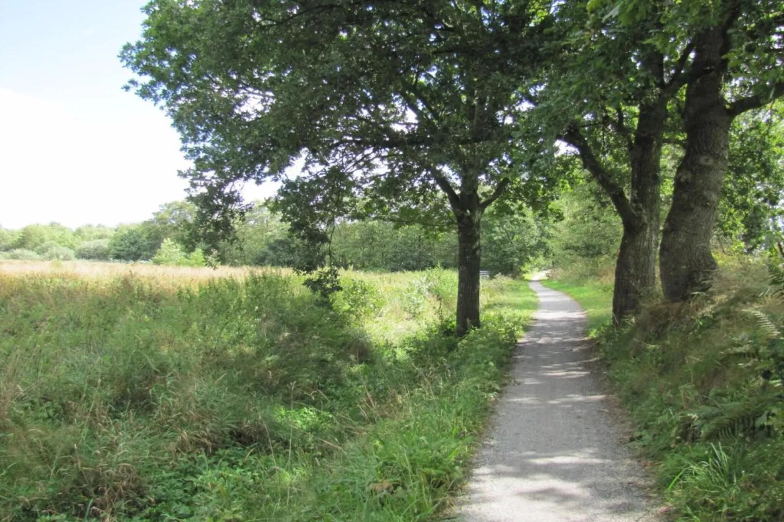 Petit pré-Areas within 20km in summer