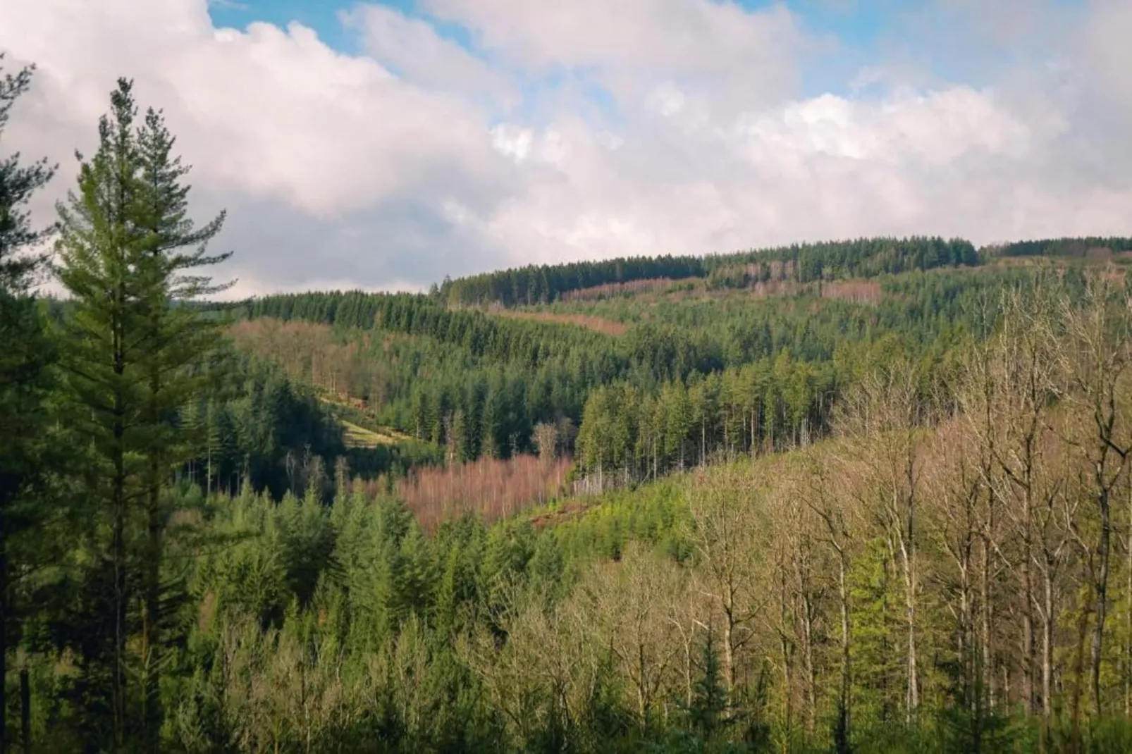 Le Noyer-Areas within 20km in summer
