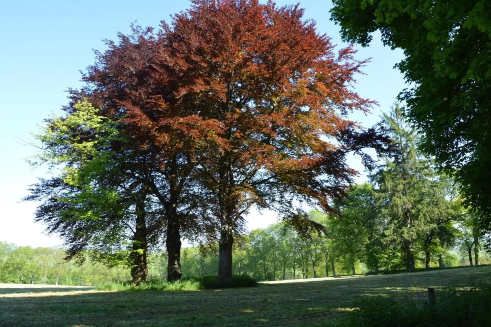 La Cantonière-Zones été à 20 km