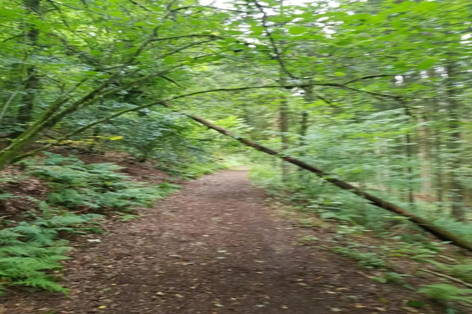 Aux Hirondelles-Zones été à 20 km