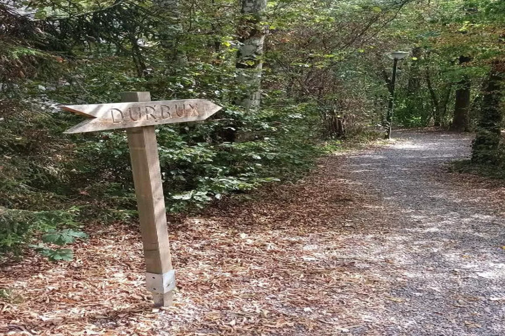 Chalet d'aventures-Areas within 20km in summer