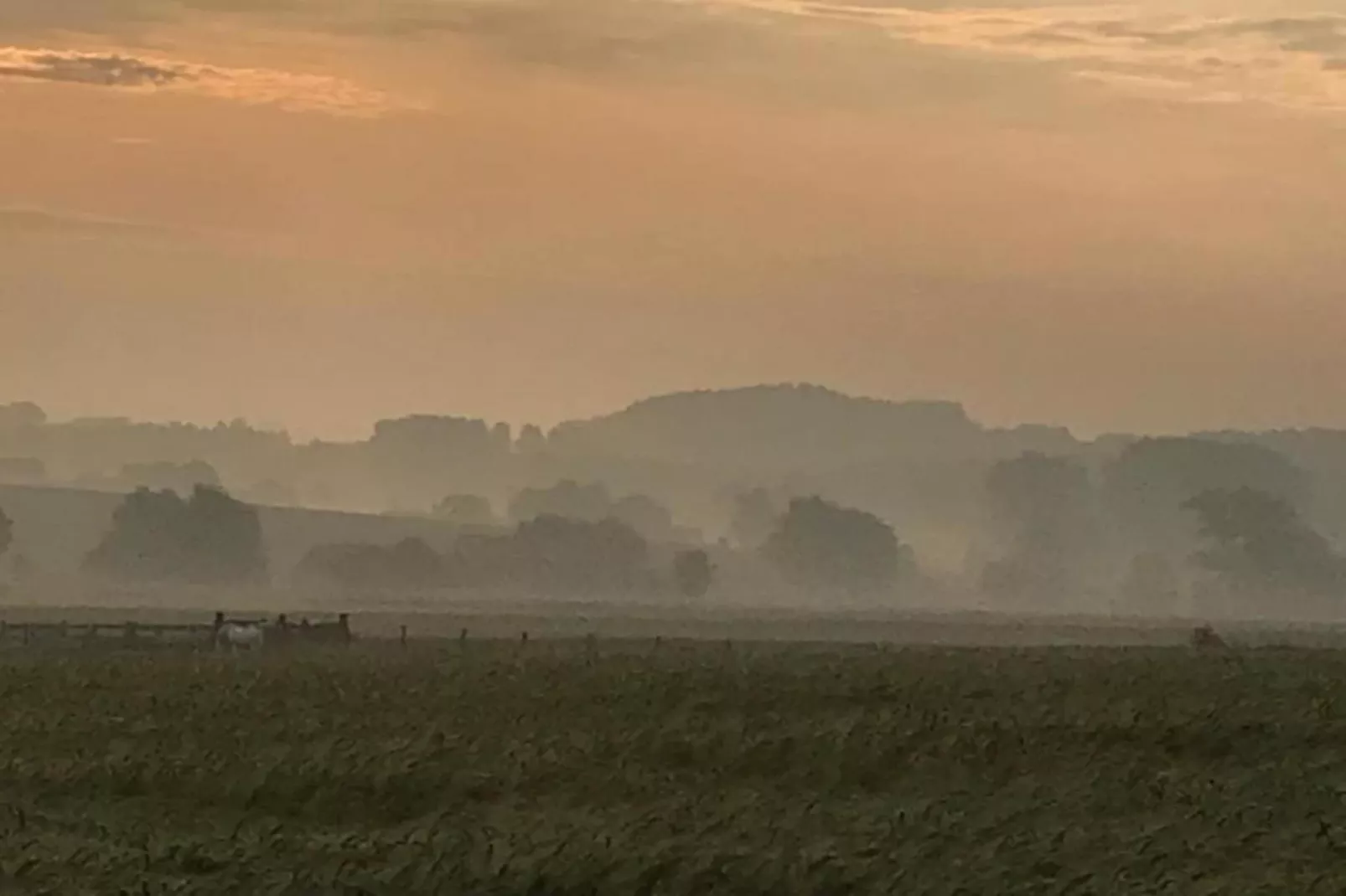 Les Tropiques-Zones été à 20 km