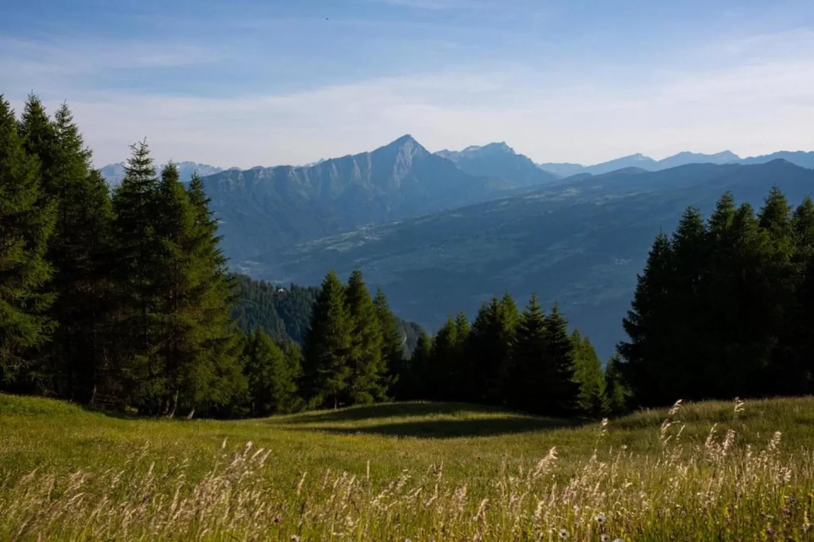 Sonnegg-Areas within 5km in summer