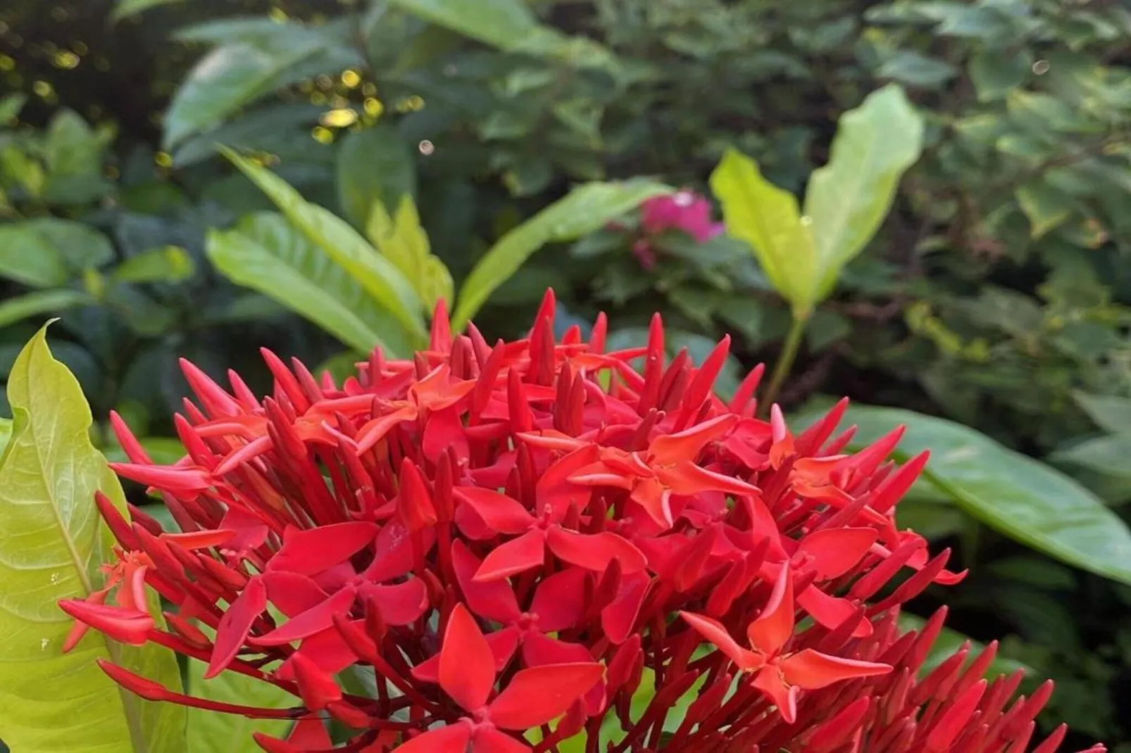 Villa Fleur de Marie-Areas within 20km in summer