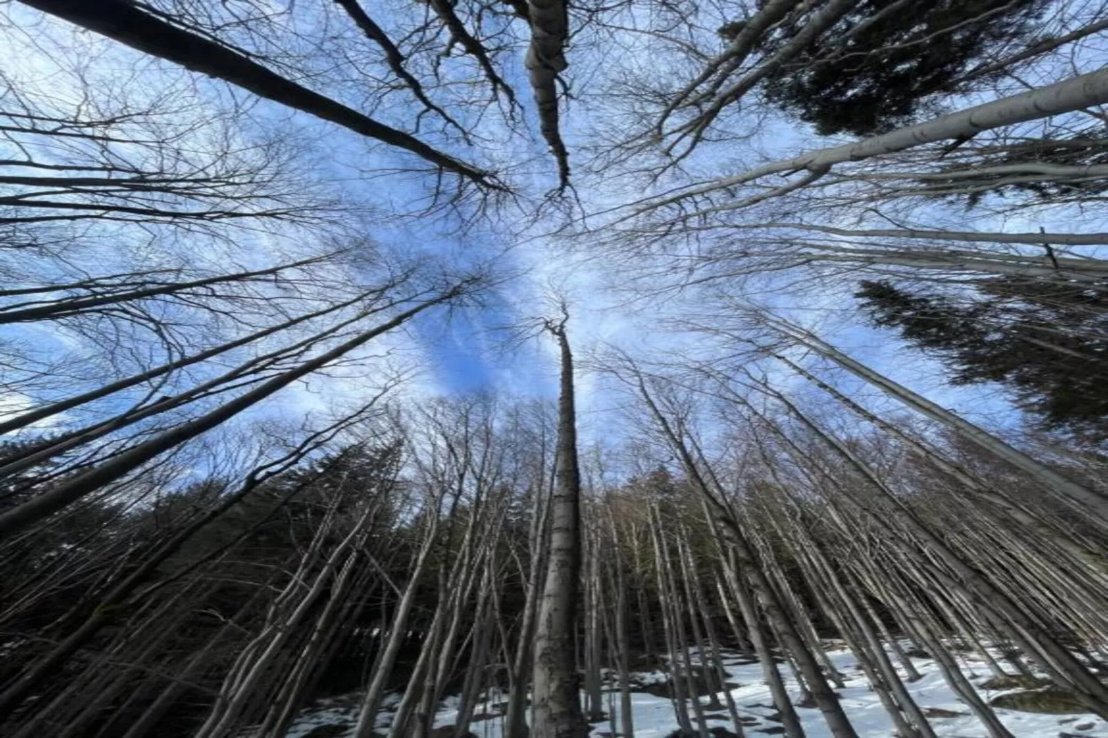 Rokytno-Gebiet Winter 20 km