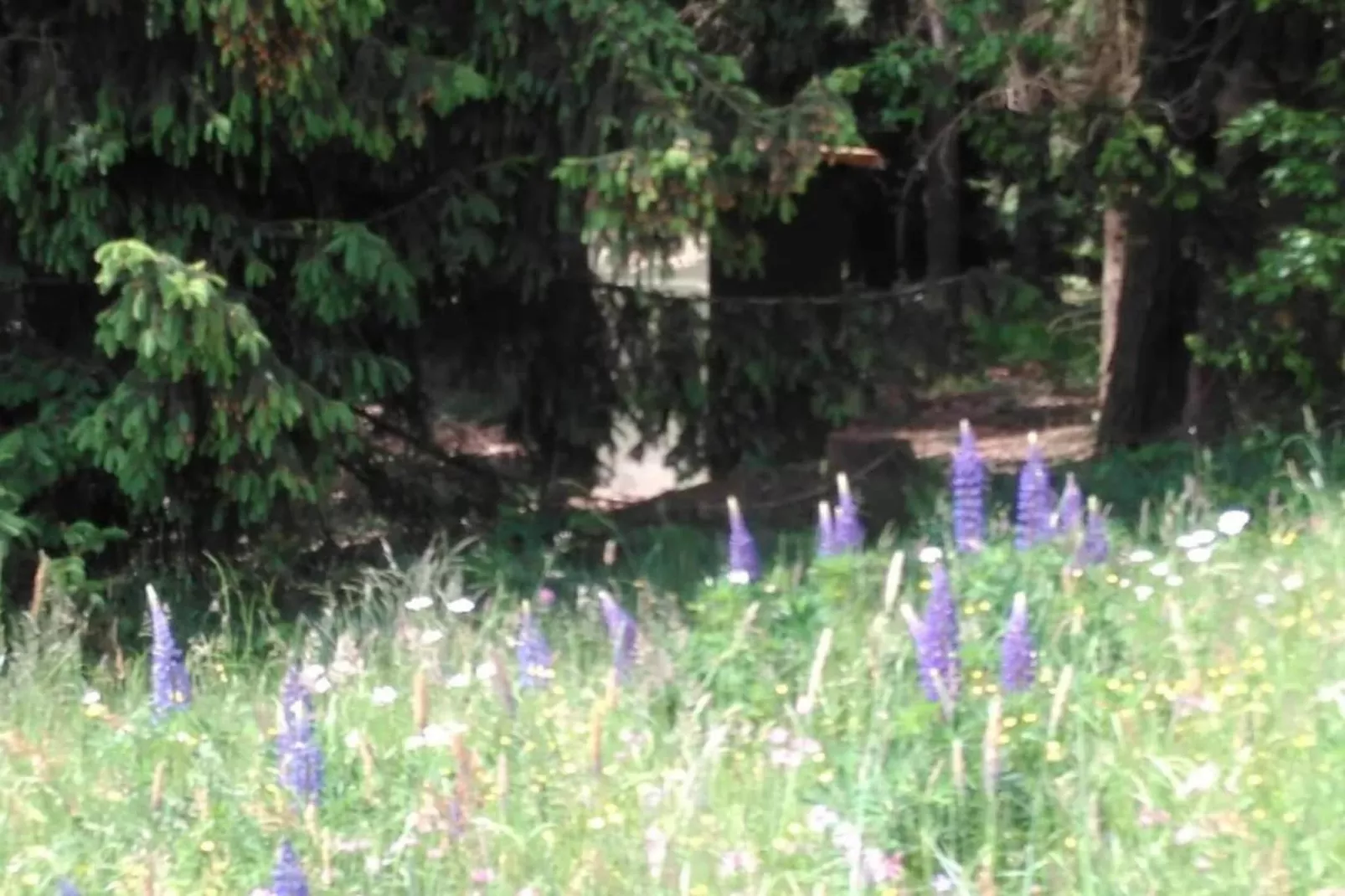 Apartament Nemojov A 8p-Areas within 20km in summer