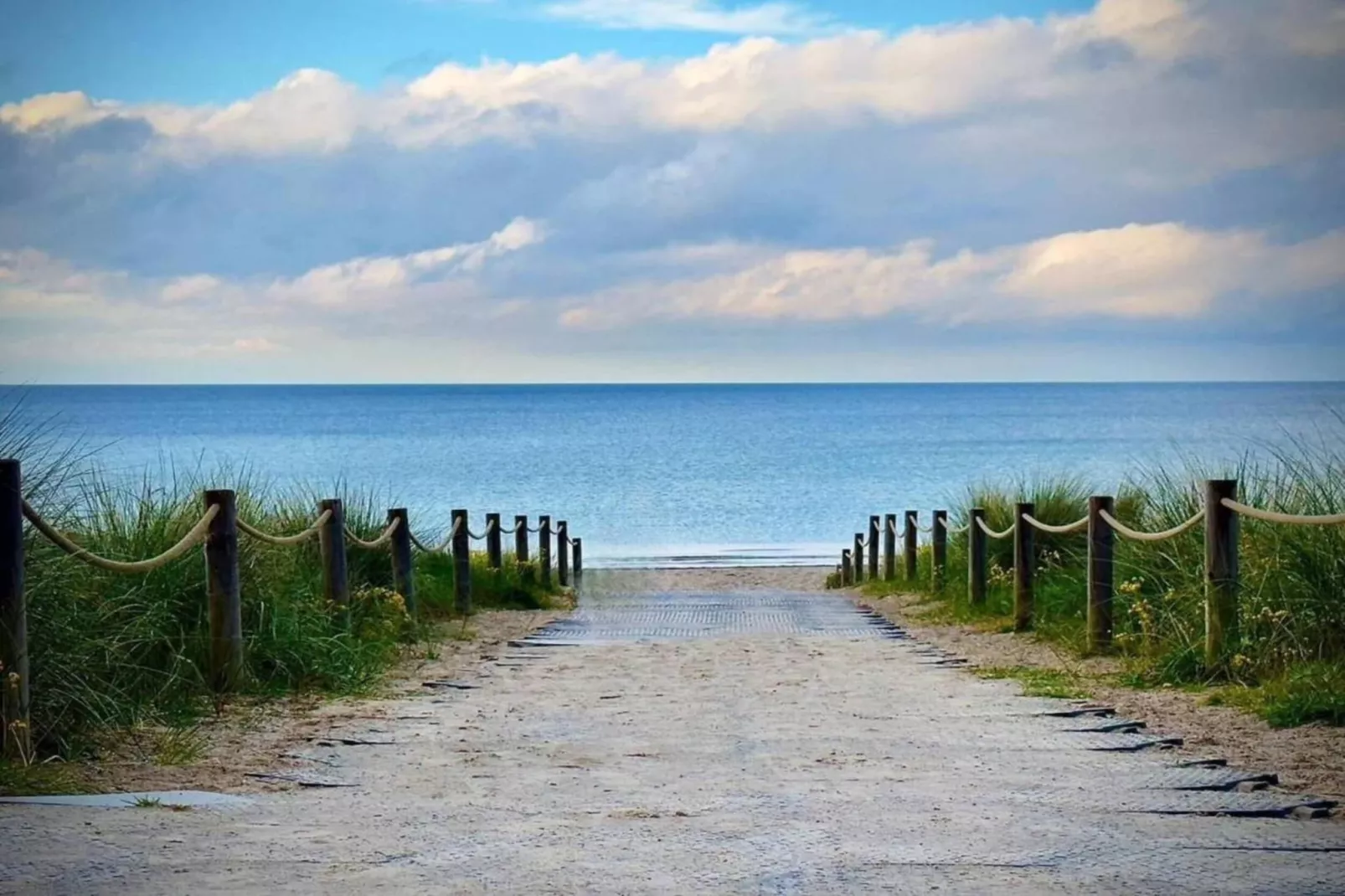 Andrea-Areas within 20km in summer