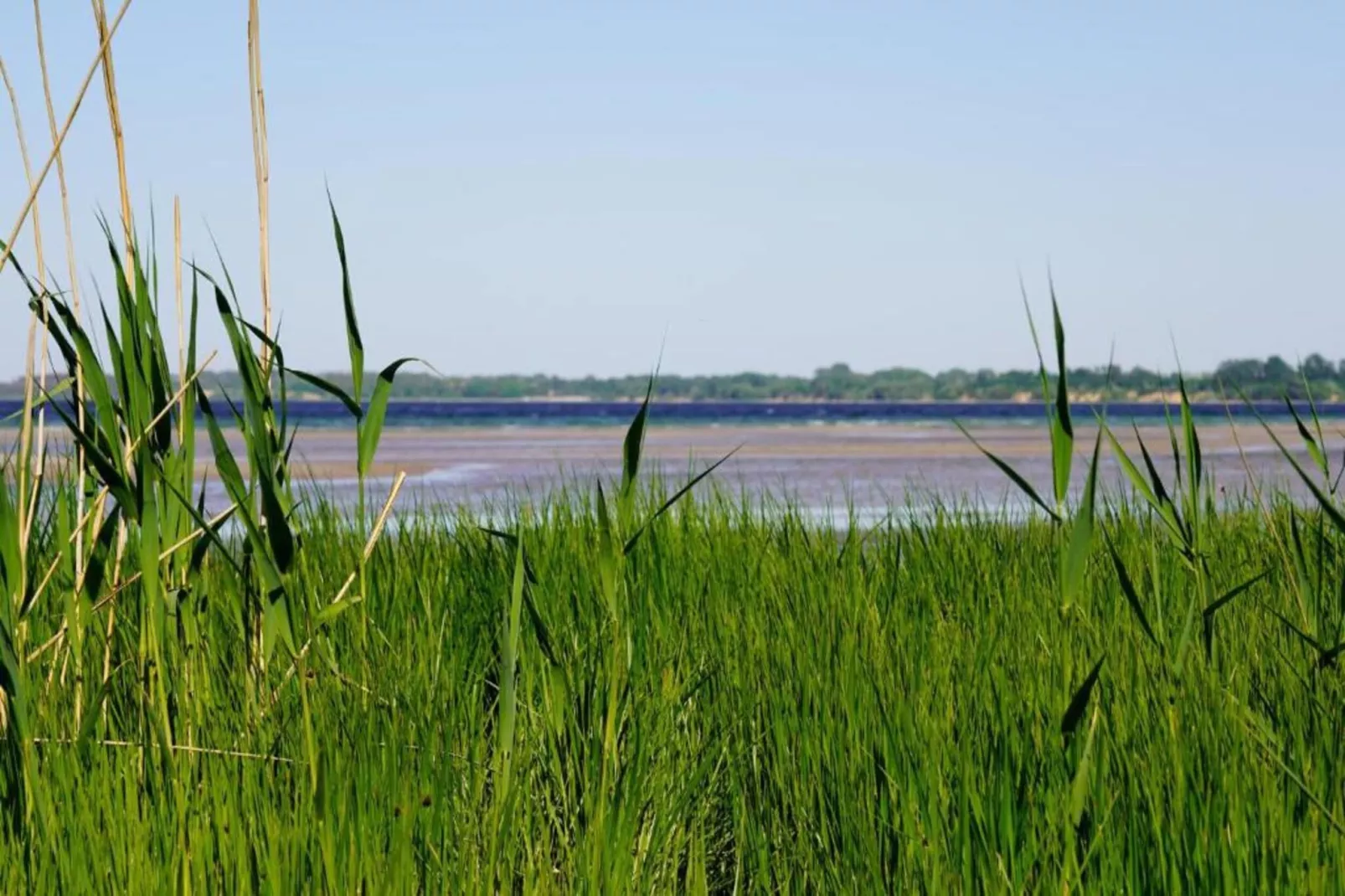 Im Lindenring-Areas within 5km in summer