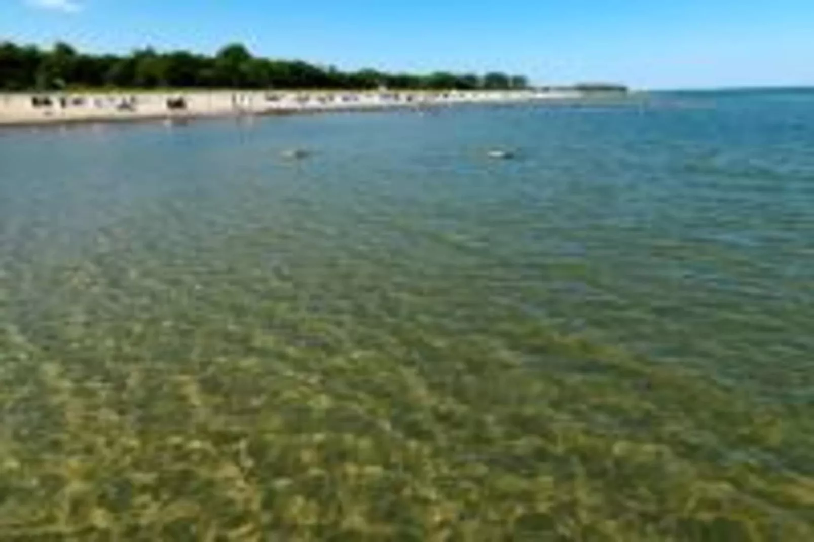 Hübsche Ferienwohnung am See nur 500m-Zones été à 20 km