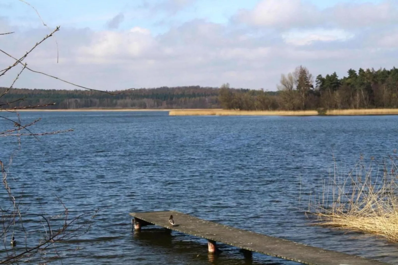Hundefreundliches Ferienhaus am See MIT Whirlpool-Zones été à 20 km