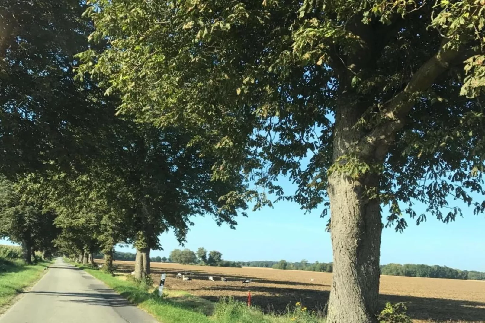 Familienurlaub im Grünen 4-Areas within 20km in summer