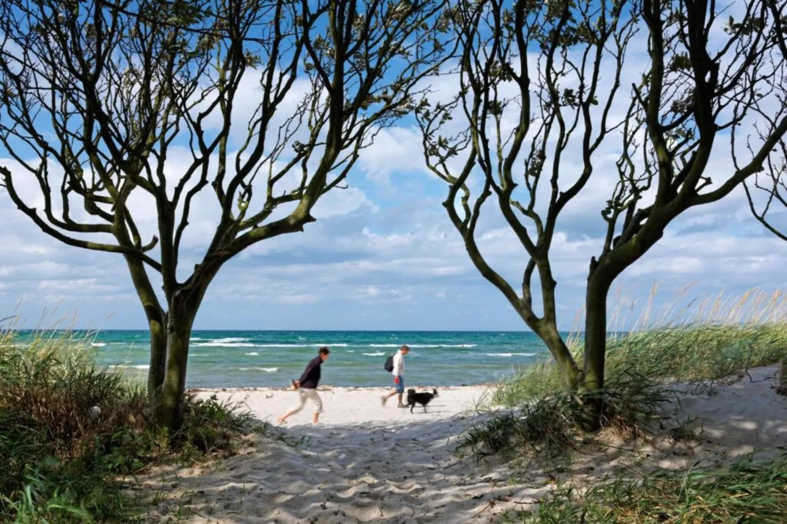 Bungalow Im Krabbenweg-Areas within 5km in summer