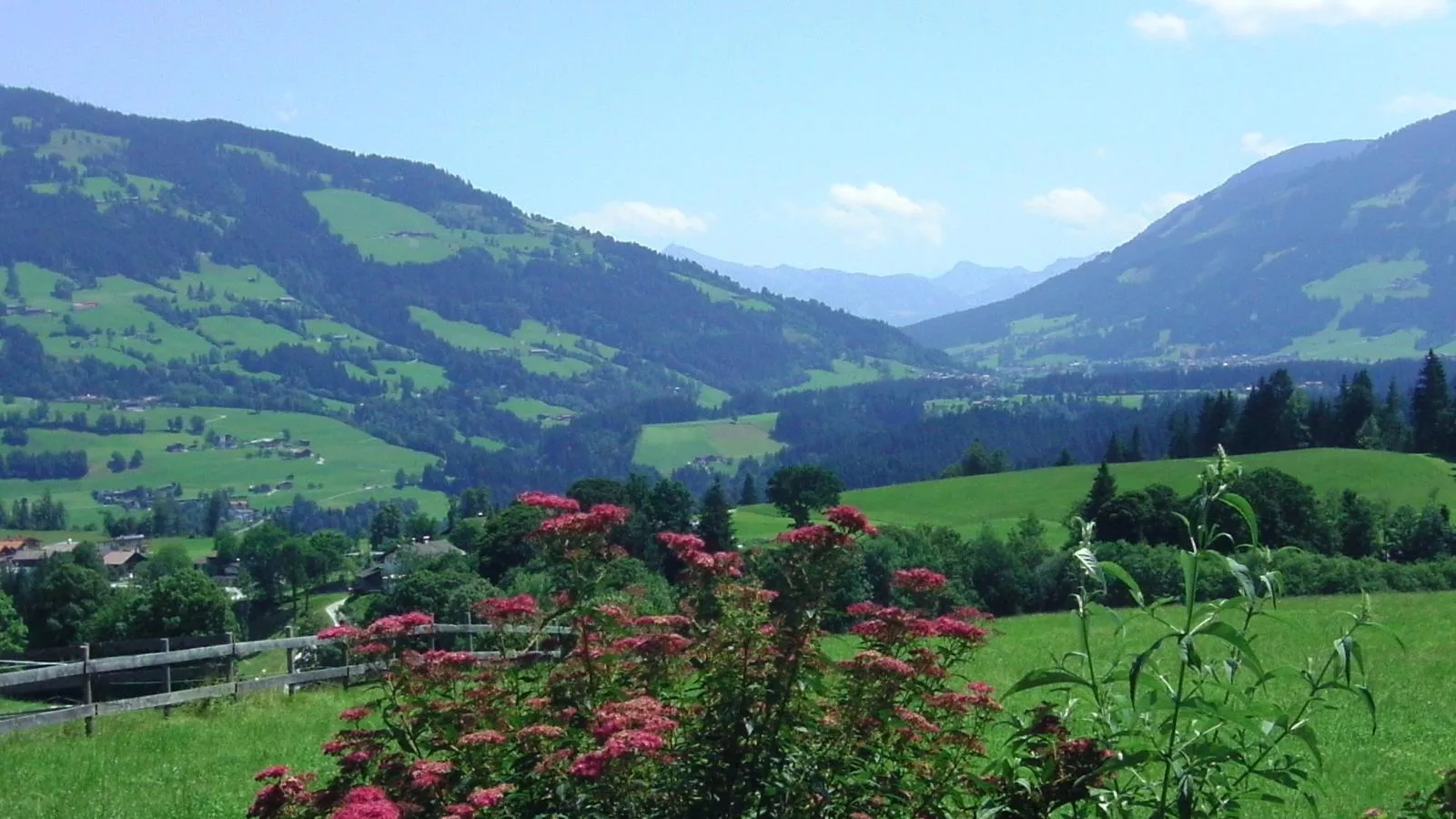 Blick ins Brixental-Aussicht Sommer