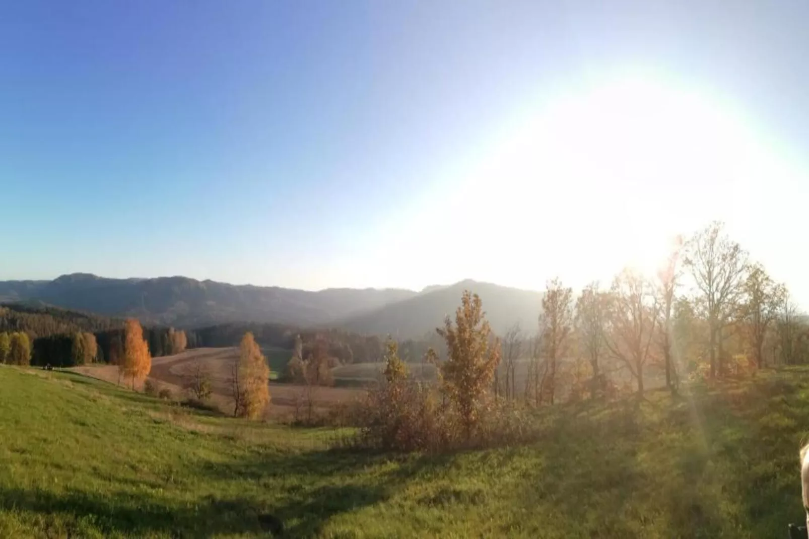 Naturlounge 13-Gebiete Sommer 5 km