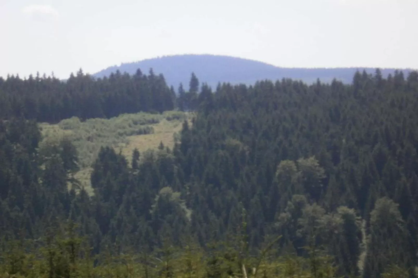 Rittersgrün-Areas within 20km in summer