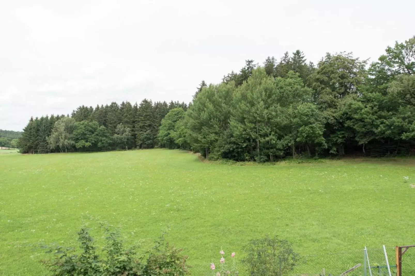 Vogtland-Areas within 20km in summer