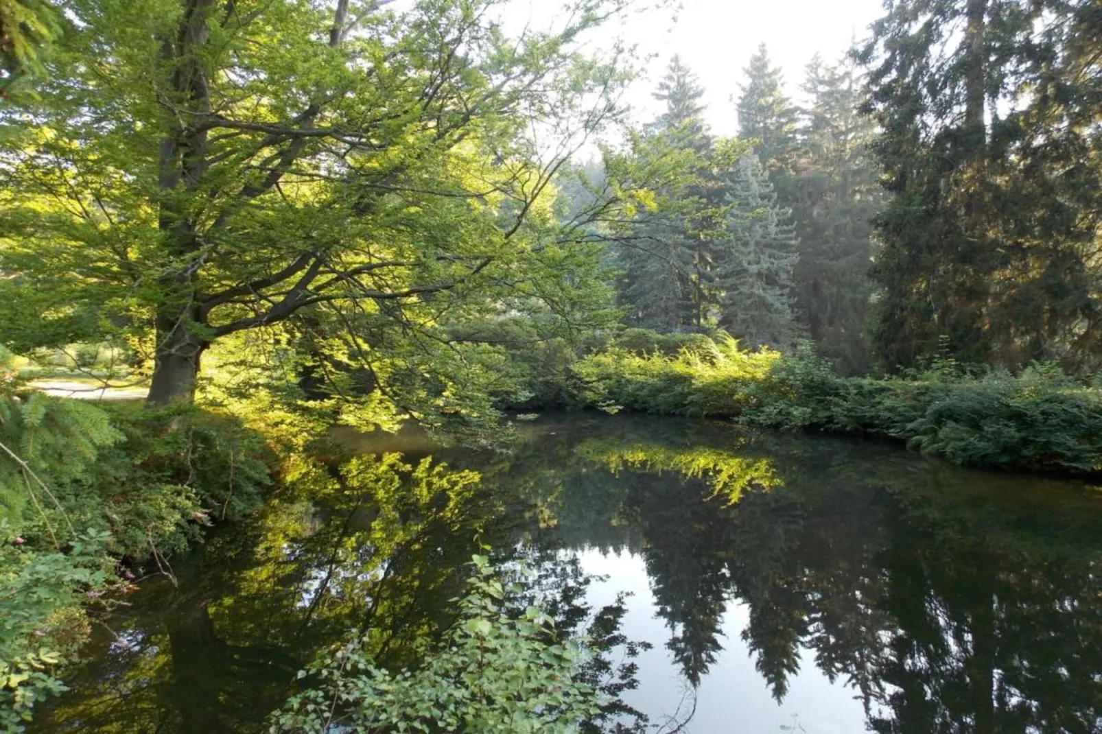 Ferienhaus Sonnenland-Areas within 20km in summer