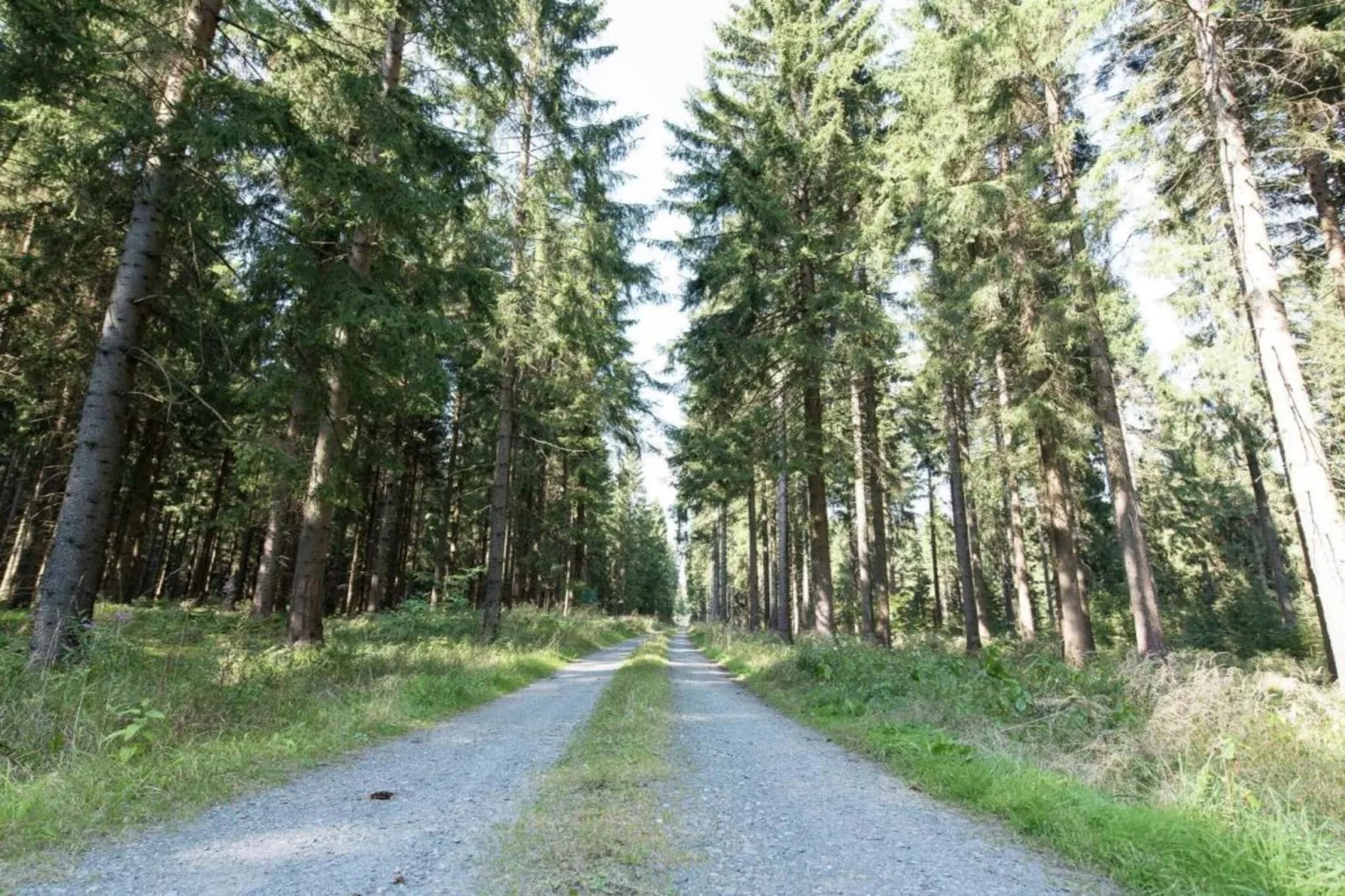 Im Erzgebirge-Zones été à 20 km
