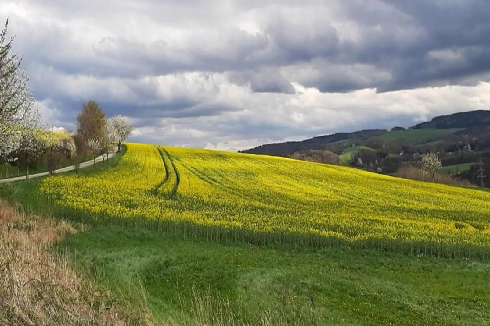 Im Erzgebirge-Areas within 20km in summer