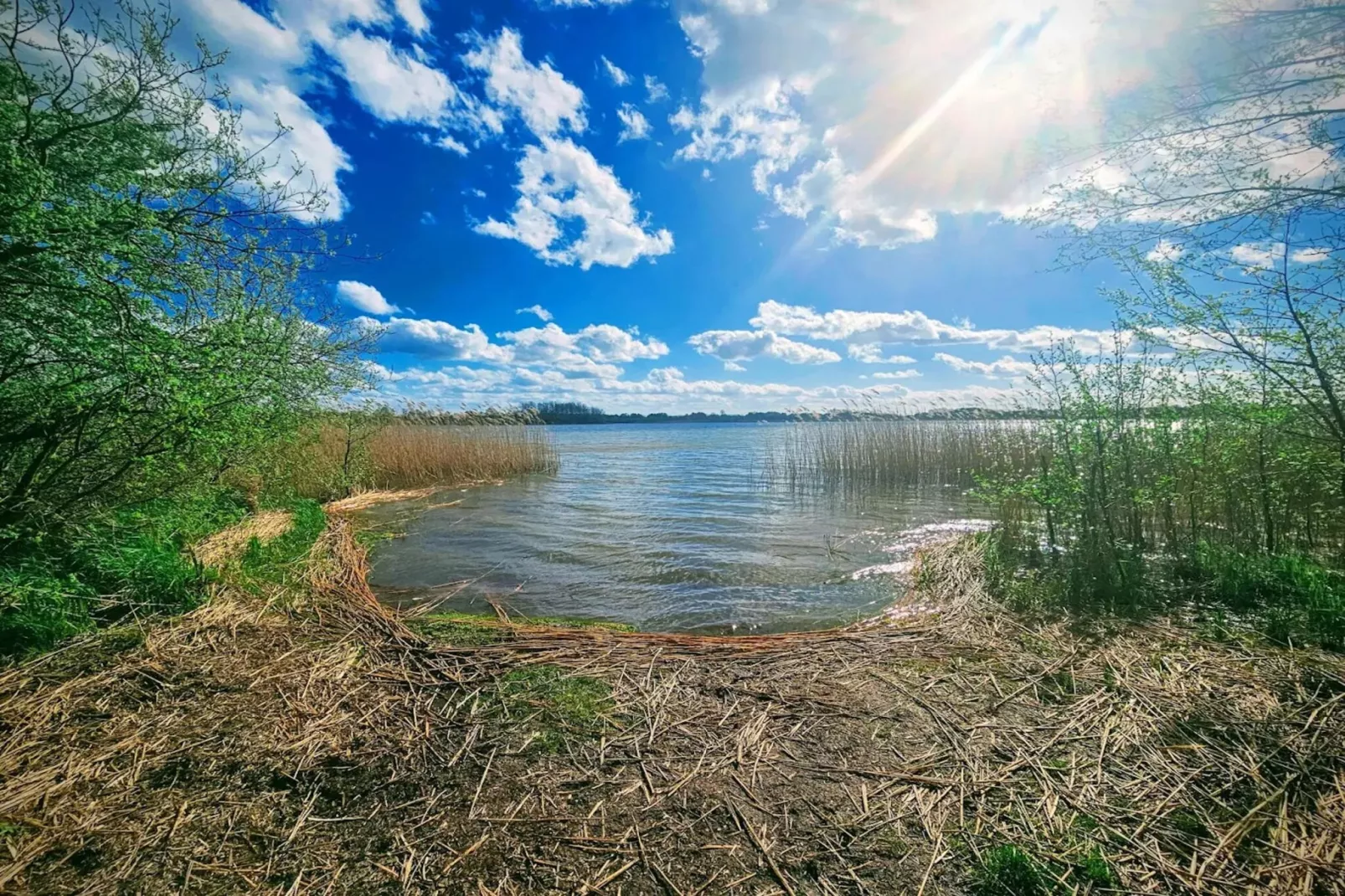 Am Gänsegarten - Berta & Auguste-Areas within 5km in summer