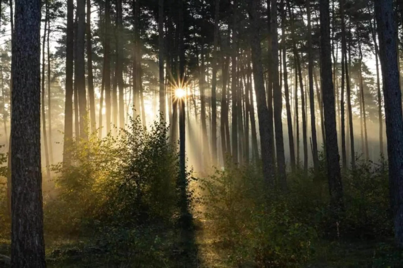 Feriendorf Natur pur 2-Zones été à 20 km