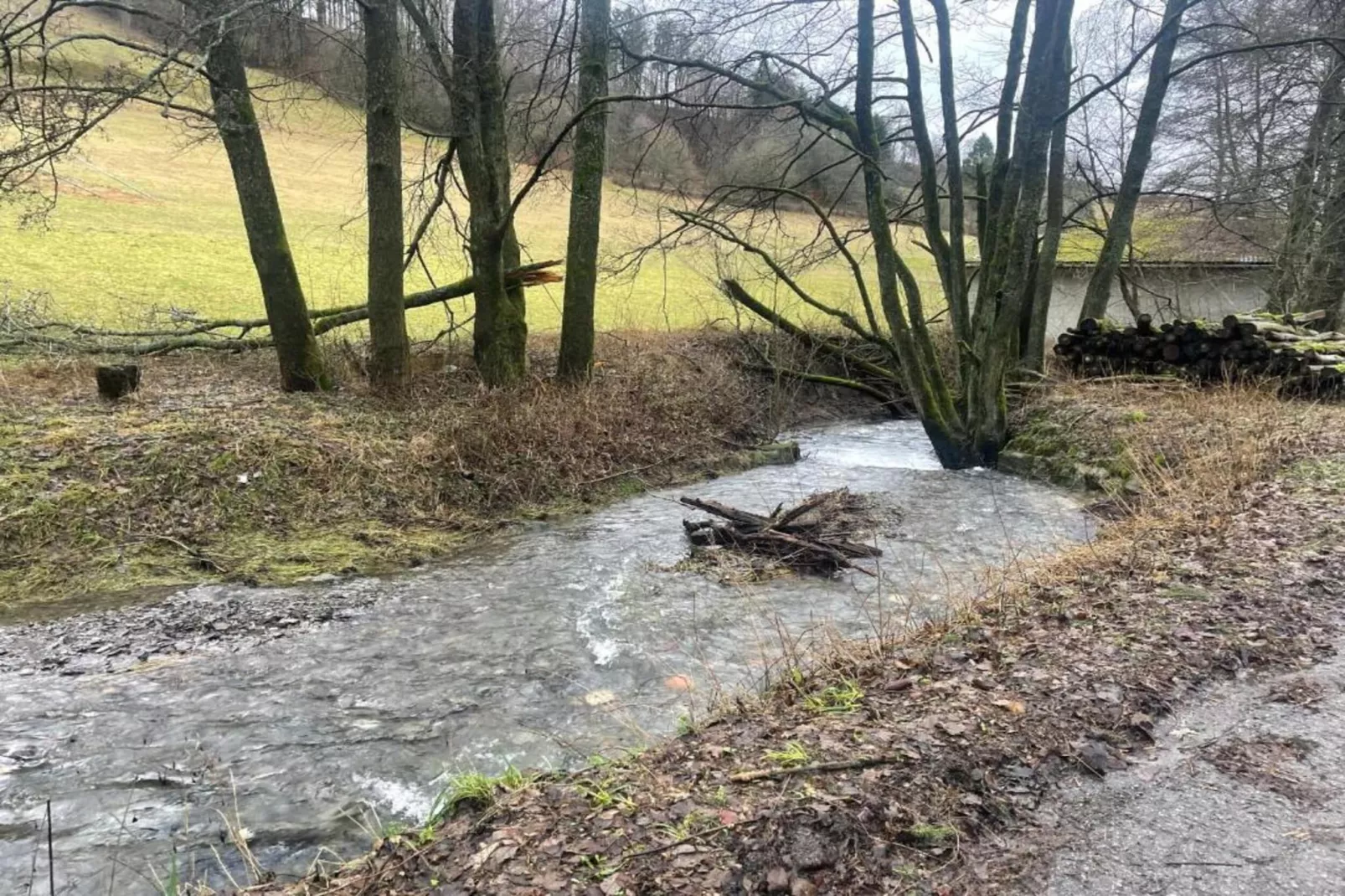 Appartement Willingen-Gebiete Sommer 5 km