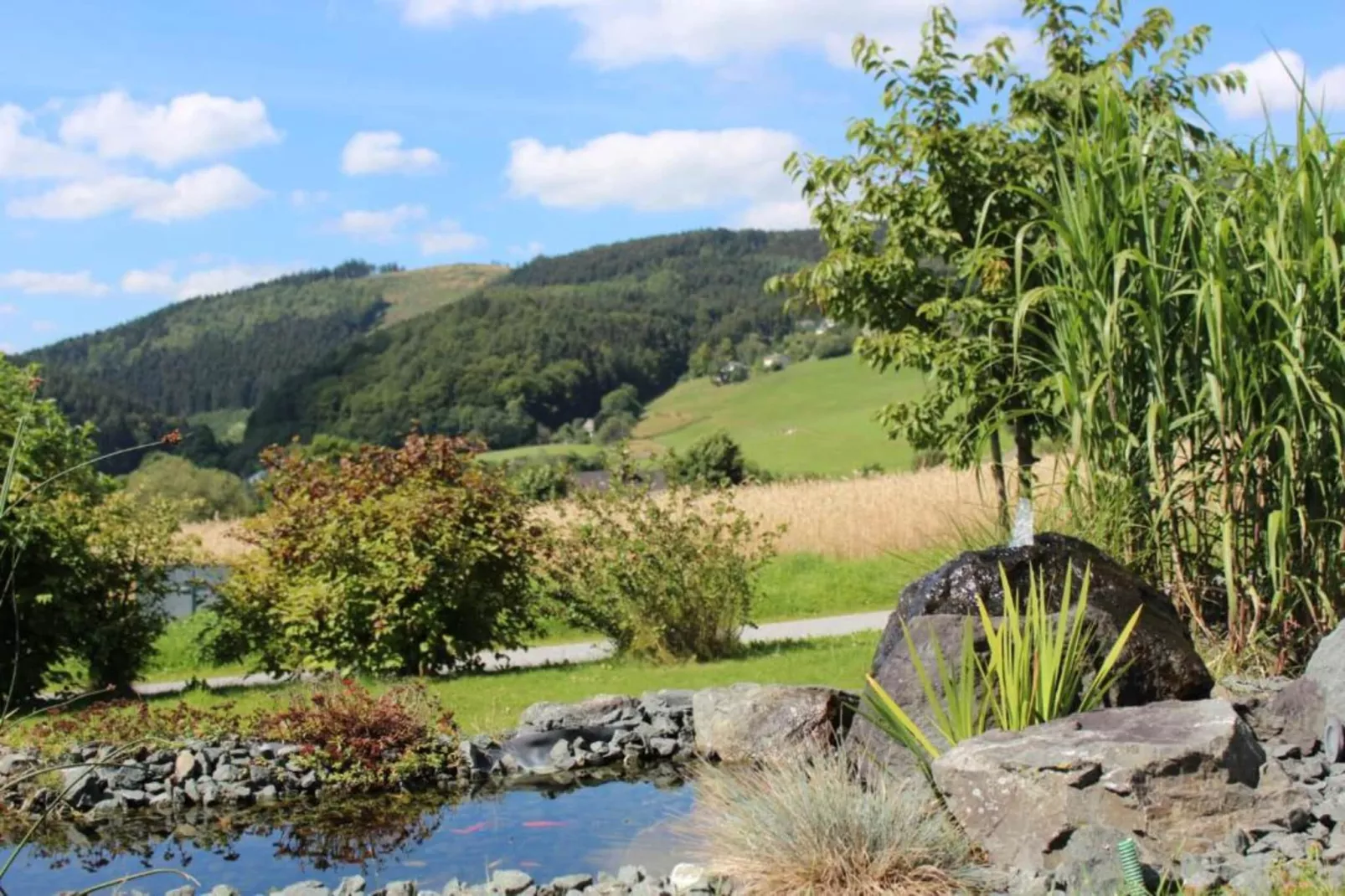 Willingen-Gebiete Sommer 5 km