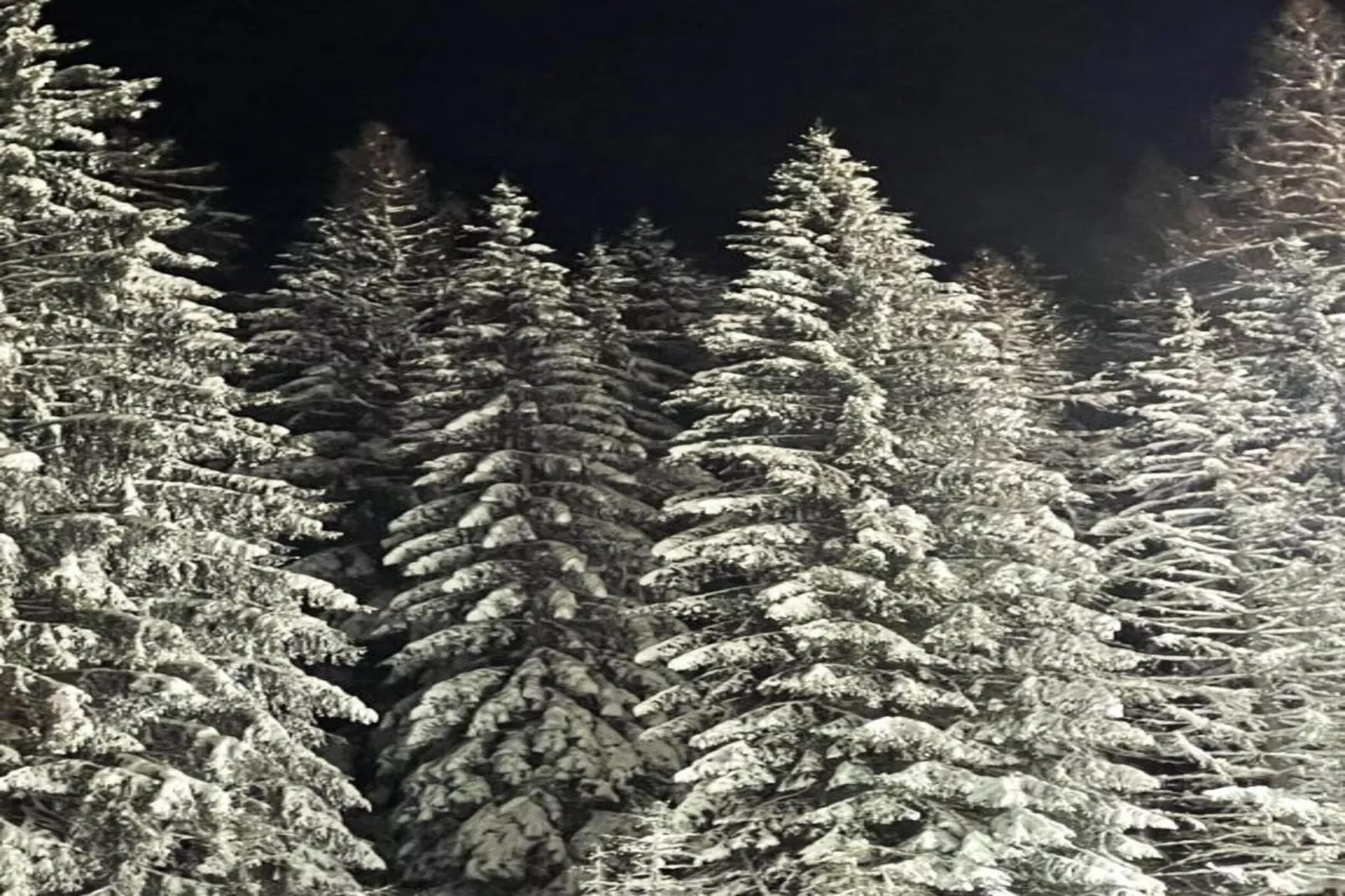 Willingen-Gebiet Winter 20 km