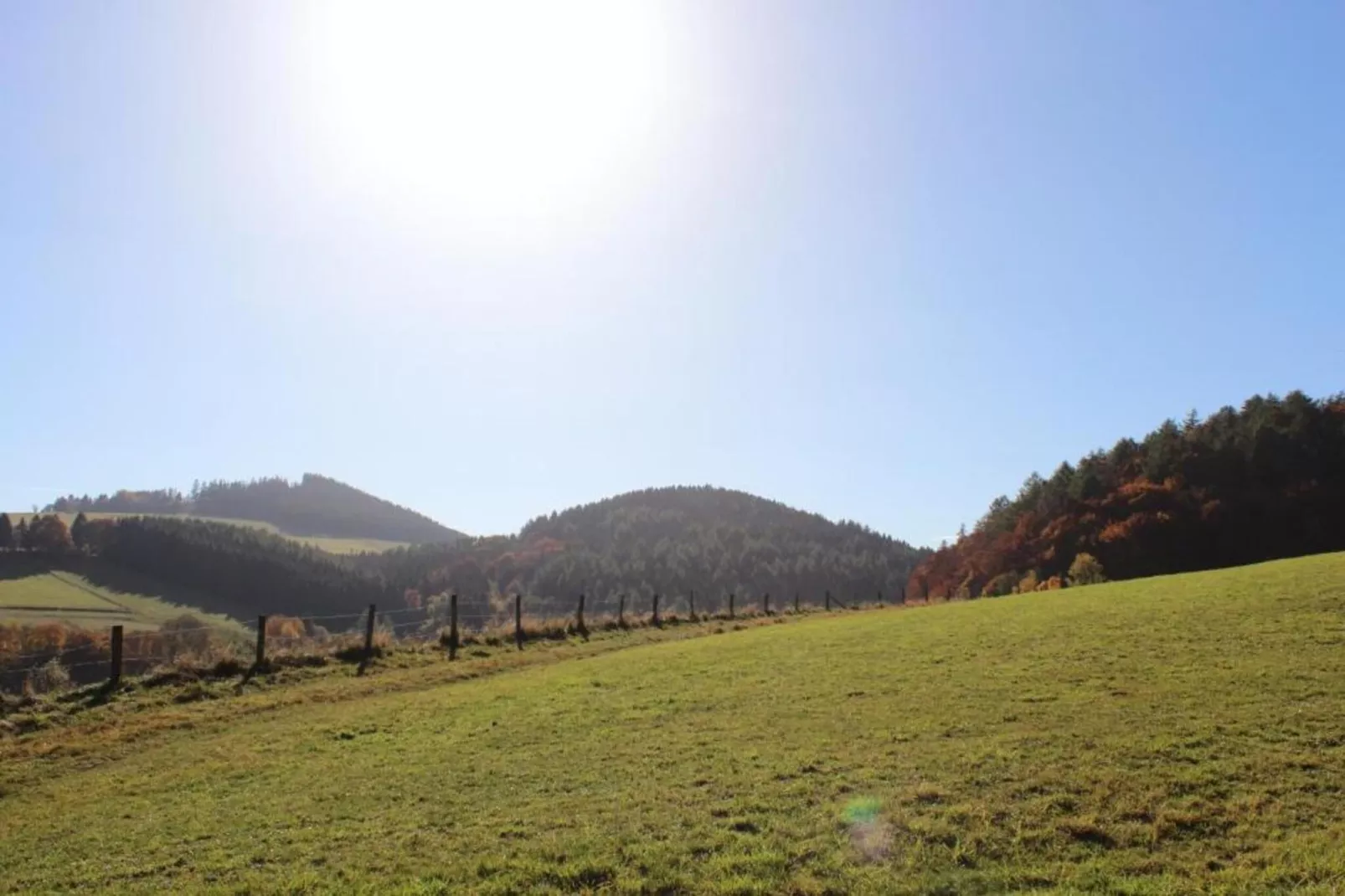 Mühlenberg-Areas within 5km in summer