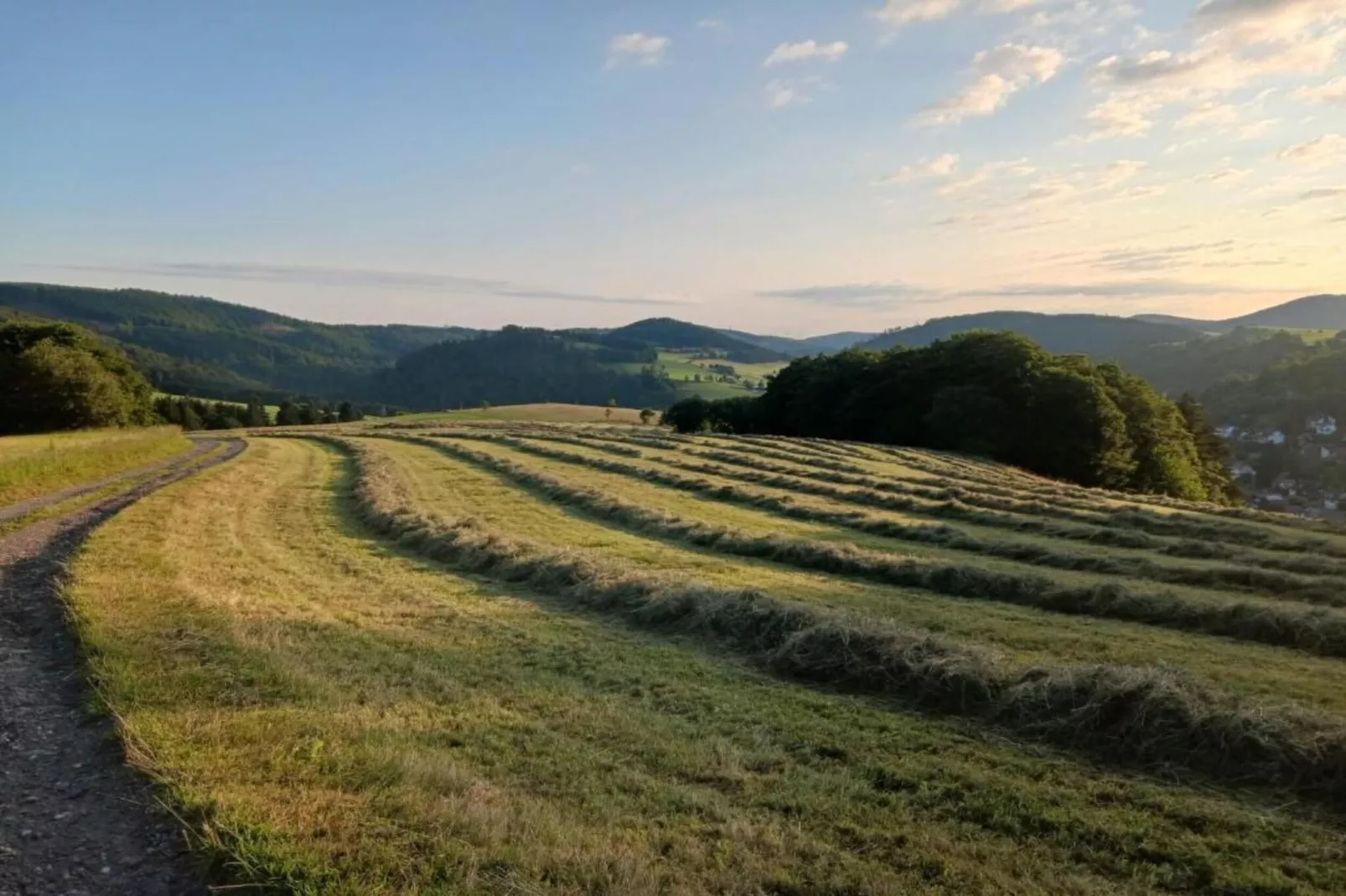 Auf den Gärten-Gebiete Sommer 5 km