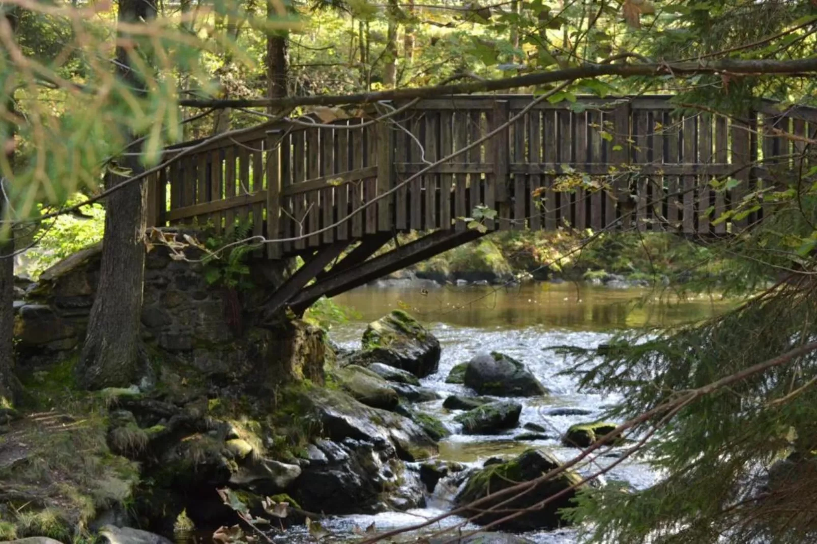 Spiegeltal-Gebiete Sommer 5 km