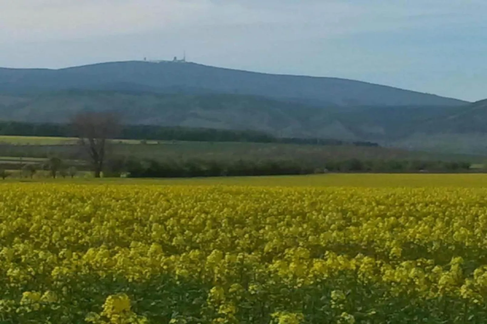 Blankenburg-Gebiete Sommer 5 km