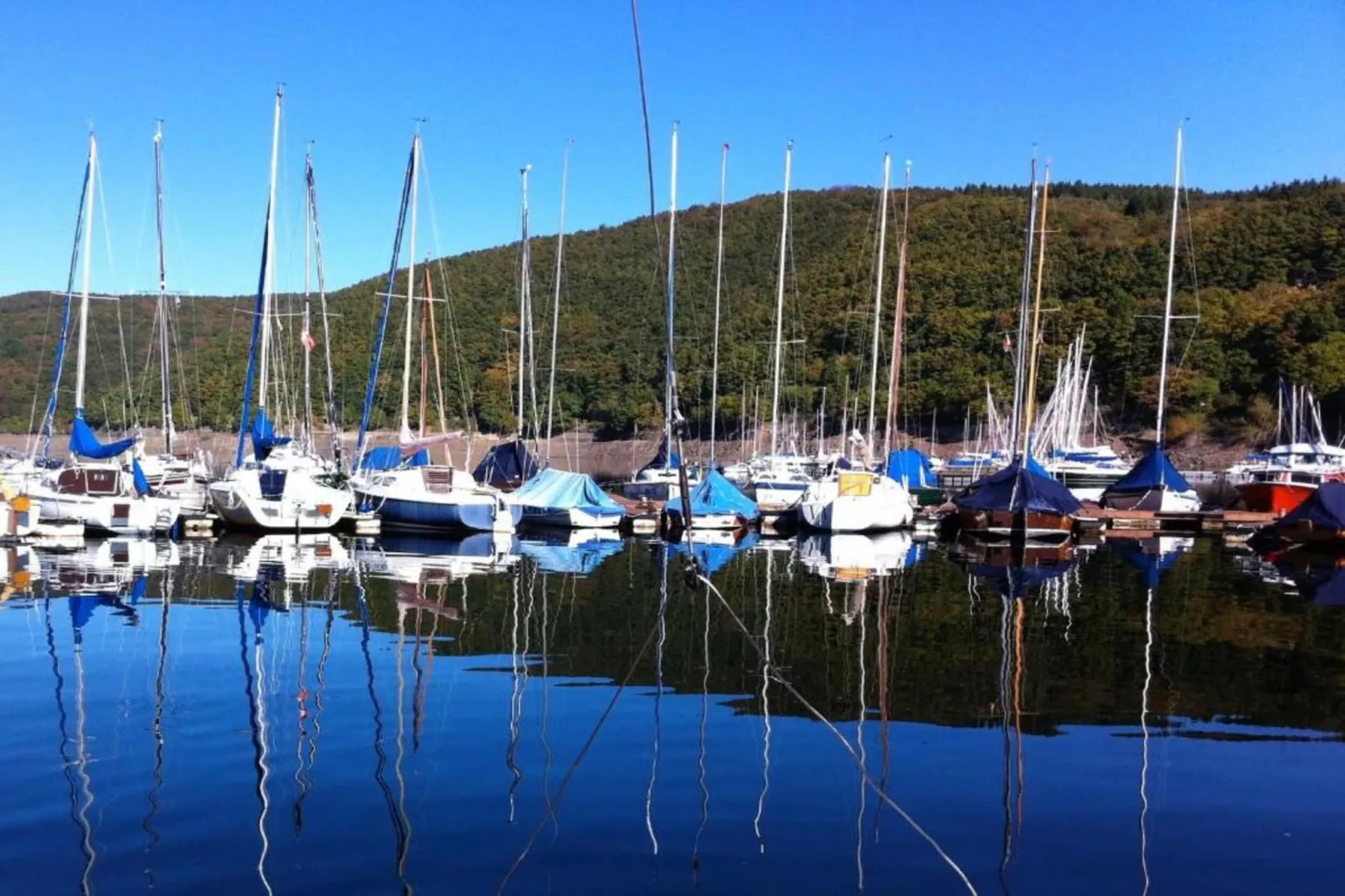 Resort Eifeler Tor 8-Areas within 5km in summer