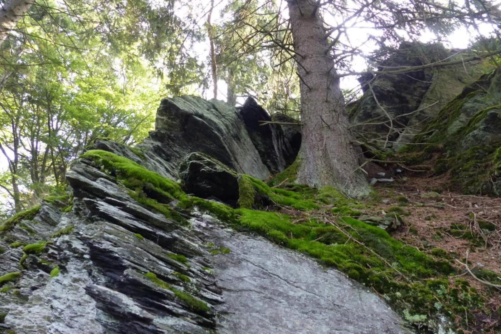 Morsbacher Hof III-Gebiete Sommer 20 km