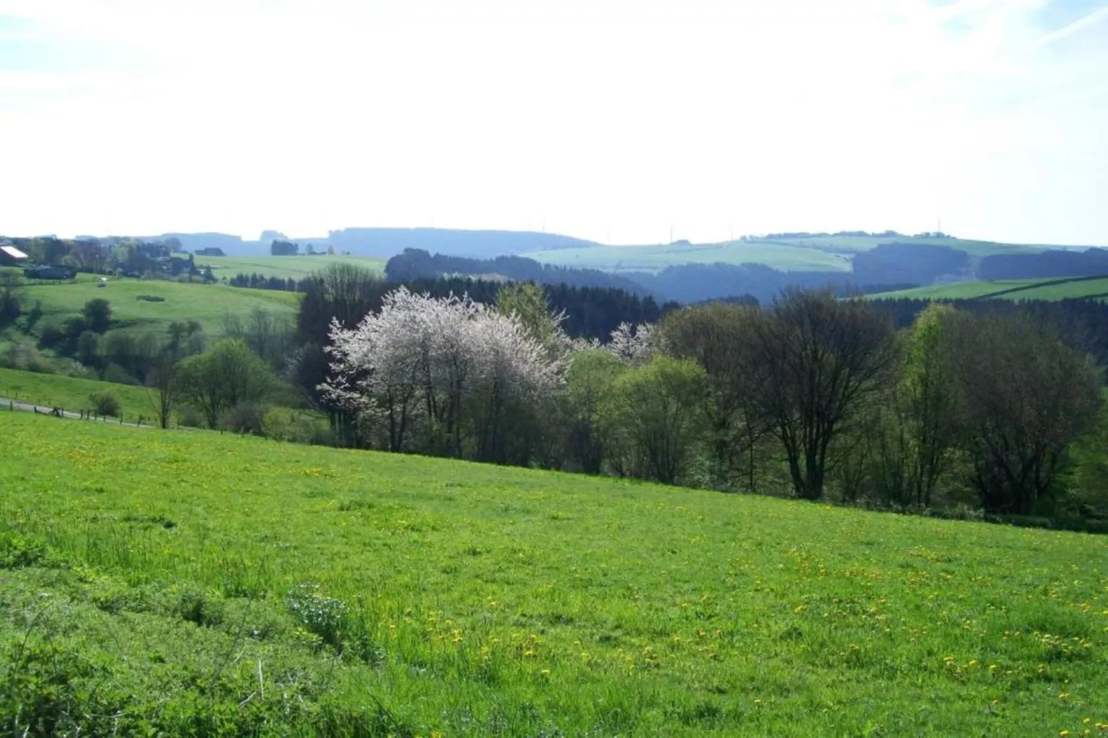 Am Grünen Wald-Areas within 20km in summer