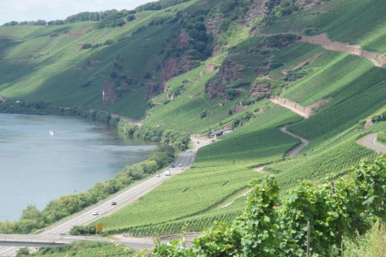Weingut Justen-Kiebel-Areas within 20km in summer
